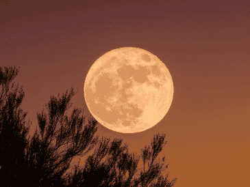 Además de la la “Superluna Fría” este mes de diciembre también ofrecerá otros espectáculos astronómicos. UNSPLASH / G. KUMAR