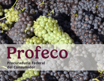 En la Revista del Consumidor de Diciembre 2025, Profeco resalta algunos de los beneficios  de comer uvas. ESPECIAL