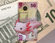 La divisa mexicana en los mercados internacionales concluyó alrededor de 18.18 pesos por dólar, lo que significó una apreciación de 0.63% o 12 centavos respecto al cierre del viernes anterior. ESPECIAL / CANVA