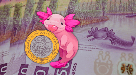 El peso mexicano se apreció el viernes 0.3% y acabó sobre 18.18 unidades por dólar, su cierre más fuerte desde julio de 2024. EL INFORMADOR / O. Álvarez