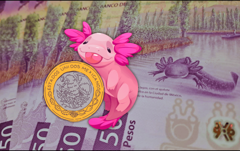 El peso mexicano se apreció el viernes 0.3% y acabó sobre 18.18 unidades por dólar, su cierre más fuerte desde julio de 2024. EL INFORMADOR / O. Álvarez