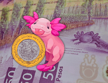 El peso mexicano se apreció el viernes 0.3% y acabó sobre 18.18 unidades por dólar, su cierre más fuerte desde julio de 2024. EL INFORMADOR / O. Álvarez