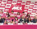 Somos México se integra por miembros de la Marea Rosa y Alianza Cívica. ESPECIAL
