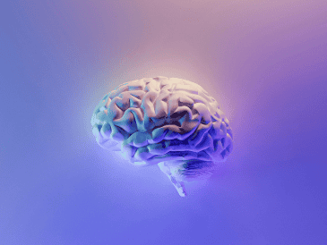 Gracias a un diseño 