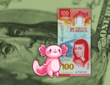 Es importante recordar que la cotización del dólar se actualiza a lo largo del día, por lo que es necesario revisarla constantemente si se requiere para alguna ejecución financiera. ESPECIAL / CANVA