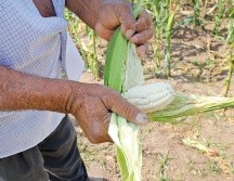 La ventanilla para registrarse en Jalisco estará abierta hasta el 31 de diciembre. SUN / ARCHIVO