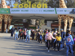 En la sesión ordinaria de este jueves, mencionó que el pasado mes de noviembre el director del Zoo León informó sobre la baja de 23 animales. ESPECIAL