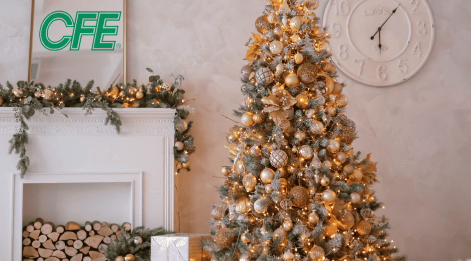 CFE subraya la importancia de adquirir únicamente productos que cuenten con el sello de la NOM. ESPECIAL