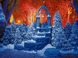 Nacida y desarrollada en Jalisco, esta experiencia inmersiva se ha convertido en una aportación cultural que el Estado ofrece al país y al mundo. EL INFORMADOR