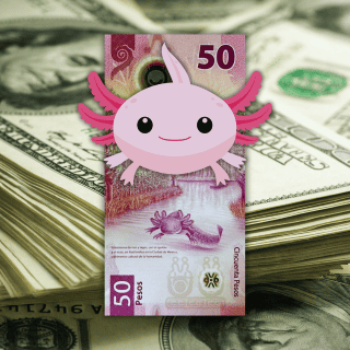 La paridad dólar-peso sorprende a bancos al cierre semanal