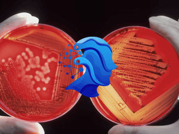 Esta herramienta reduce el sesgo en análisis patológicos de cáncer. UNSPLASH / NCI