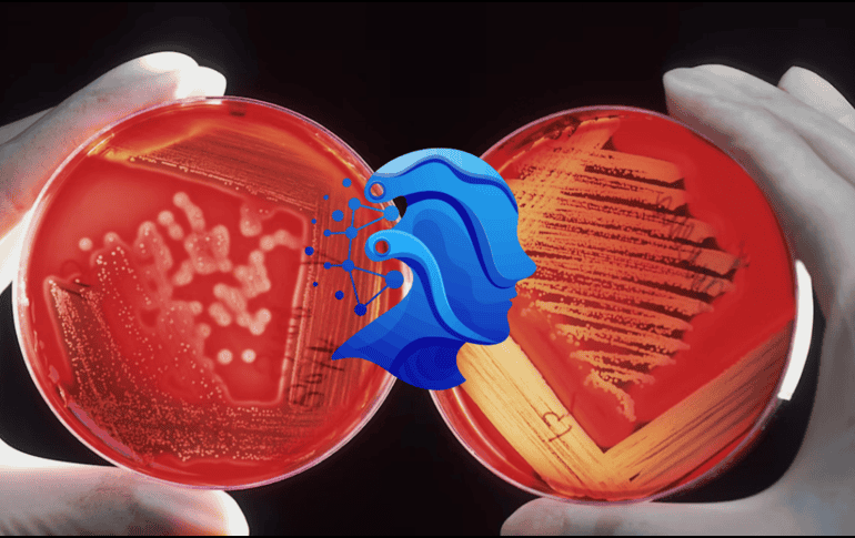 Esta herramienta reduce el sesgo en análisis patológicos de cáncer. UNSPLASH / NCI