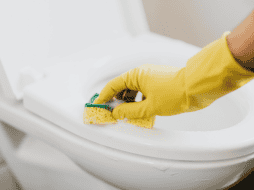 Los malos olores en el baño son uno de los problemas más comunes en el hogar pero también uno de los más fáciles de prevenir. CANVA