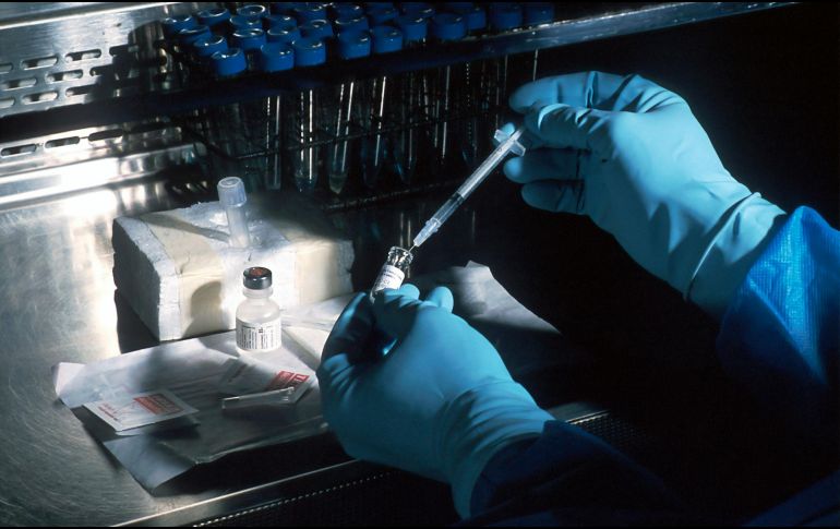 Científicos logran rejuvenecer el sistema inmunitario de esta manera. UNSPLASH / NCI