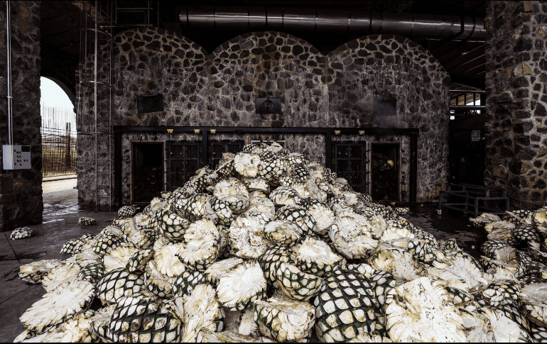 Lemus indicó que la FGR investiga todas las denuncias en torno a Diego Rivera Navarro, alcalde de Tequila. EL INFORMADOR / ARCHIVO