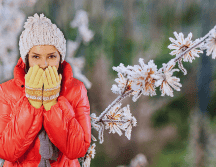 Durante la tarde, un nuevo frente frío se aproximará a la frontera noreste del territorio nacional. ESPECIAL / CANVA