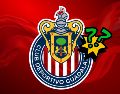 Con estos ajustes, Chivas inicia una nueva fase en su proyecto deportivo, en la que la directiva busca modificar el rumbo del equipo de cara a los próximos compromisos. ESPECIAL