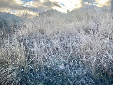 Hoy jueves se registraron heladas en la comunidad de La Yerbabuena y otras zonas aledañas del municipio de Tapalpa, en Jalisco. NTX / ARCHIVO