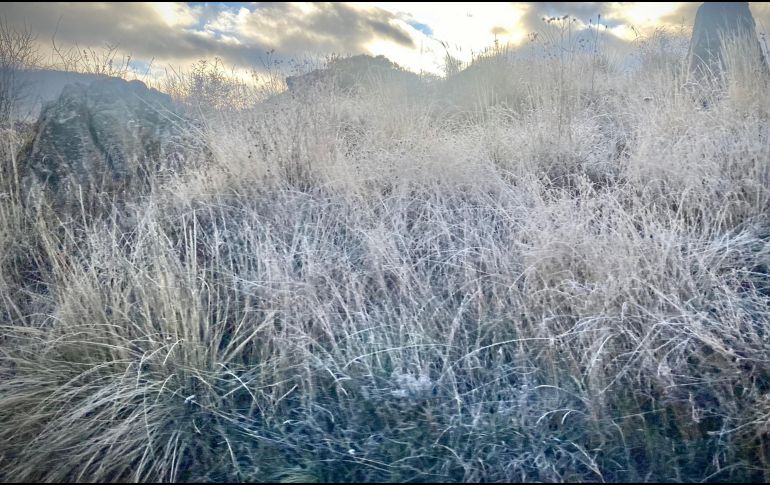 Hoy jueves se registraron heladas en la comunidad de La Yerbabuena y otras zonas aledañas del municipio de Tapalpa, en Jalisco. NTX / ARCHIVO