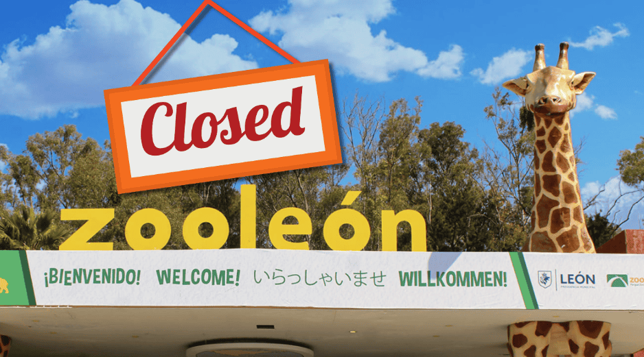 El Zooleón fue fundado el 19 de septiembre de 1979. Zooleon.org / CANVA / ESPECIAL