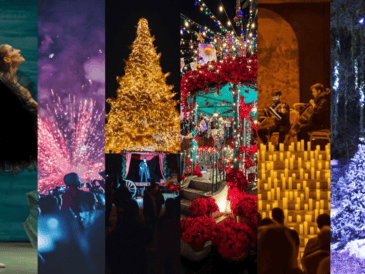 Este fin de semana, Guadalajara abre sus puertas a la Navidad con eventos que invitan a disfrutar, convivir y crear recuerdos inolvidables. ESPECIAL