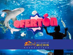 La entrada también incluye recorrido guiado por los pabellones, guía del explorador, acceso a camas elásticas y laser tag.  ESPECIAL/ACUARIOMICHIN
