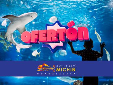 La entrada también incluye recorrido guiado por los pabellones, guía del explorador, acceso a camas elásticas y laser tag.  ESPECIAL/ACUARIOMICHIN