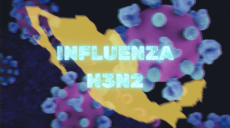 El H3N2 es una variante del virus de la influenza A, que provoca una infección respiratoria aguda y responsable de la gripe estacional a nivel global. UNSPLASH/National Institute of Allergy and Infectious Diseases