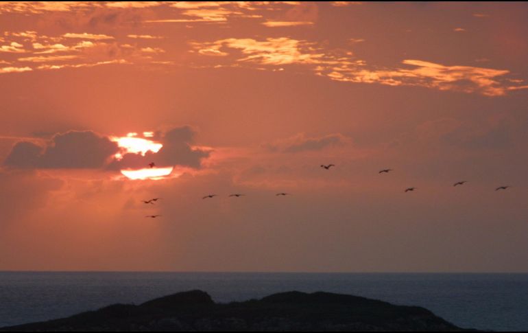 Según la OMM,  aunque 