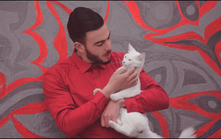 La investigación confirma que los gatos no solo observan a sus cuidadores, sino que aprenden a comunicarse de manera diferenciada. UNSPLASH / A. ACHARKI