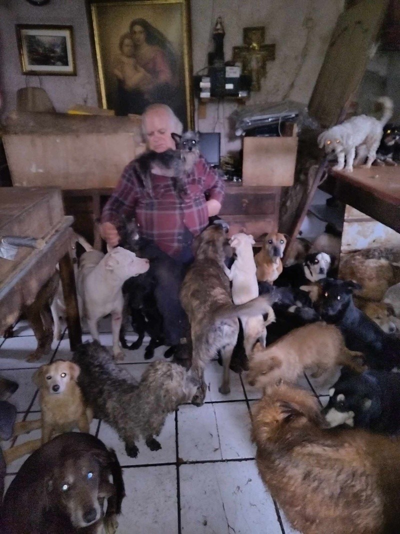 &nbsp;CORTESÍA/ Refugio San Vicente