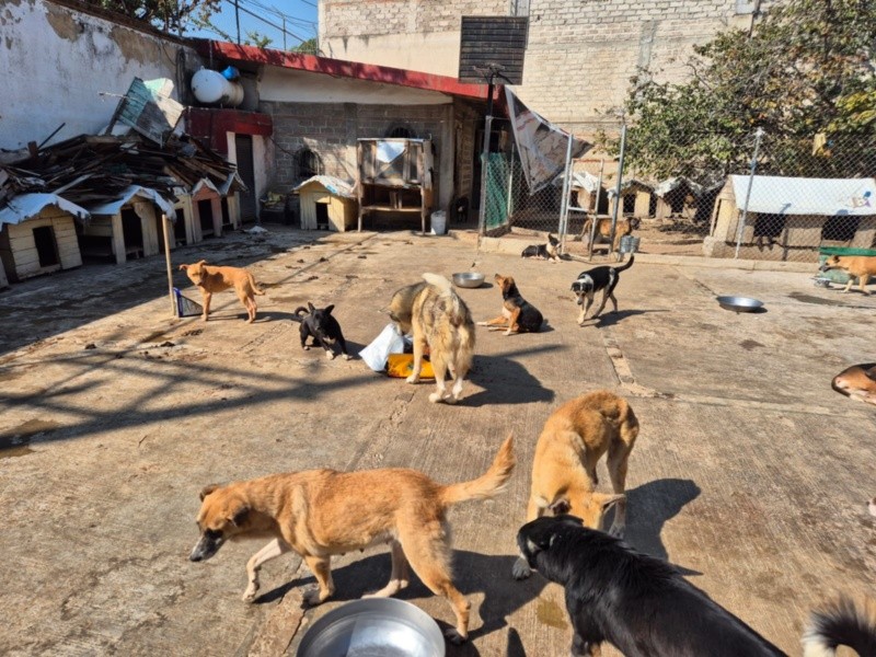 &nbsp;EL INFORMADOR/ R. Bobadilla