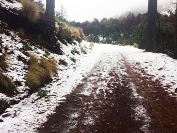 Este destino es un lugar ideal para quienes desean ver nieve en Jalisco y disfrutar de uno de los paisajes más impresionantes del occidente del país antes de 2026. NOTIMEX/ ARCHIVO