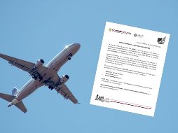 La tarde de ayer viernes, en redes sociales circularon videos del incidente con el vuelo de Magnicharters. ESPECIAL / CANVA