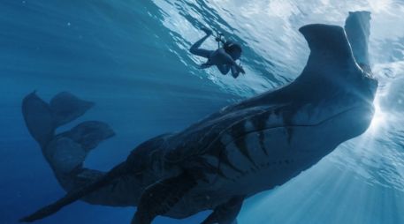 Payakan es uno de los personajes más relevantes entre los tulkun, la especie marina inteligente que aparece en Avatar: El Camino del Agua. ESPECIAL