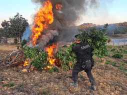 El aseguramiento se realizó durante el despliegue de la columna de vigilancia especial “Operativo Invernal 2025