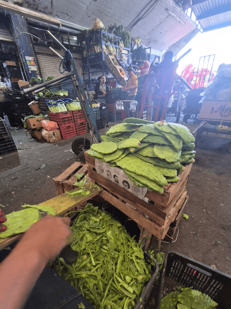 EL INFORMADOR / J. VELAZCO&nbsp;