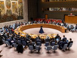 EU intensificará al máximo las sanciones contra Venezuela, afirmó su Embajador ante la ONU. EFE/Justine Lane