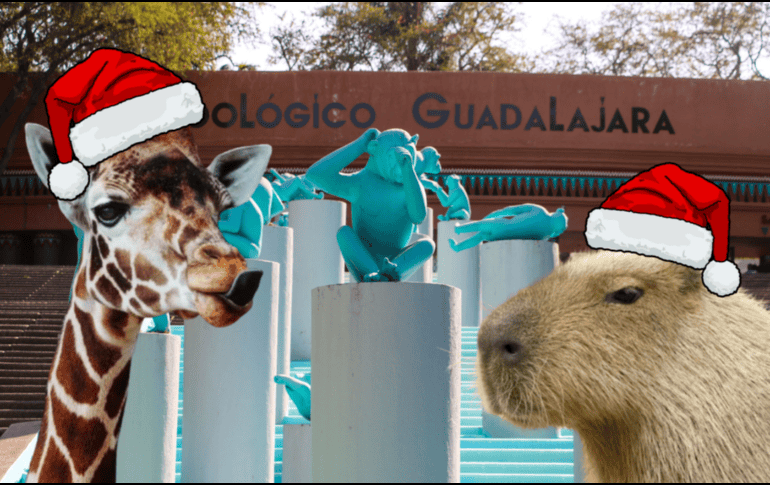 El Zoológico Guadalajara decidió llevar la Navidad a cada uno de los animalitos del recinto. ESPECIAL/ EL INFORMADOR/ ARCHIVO/ Unsplash