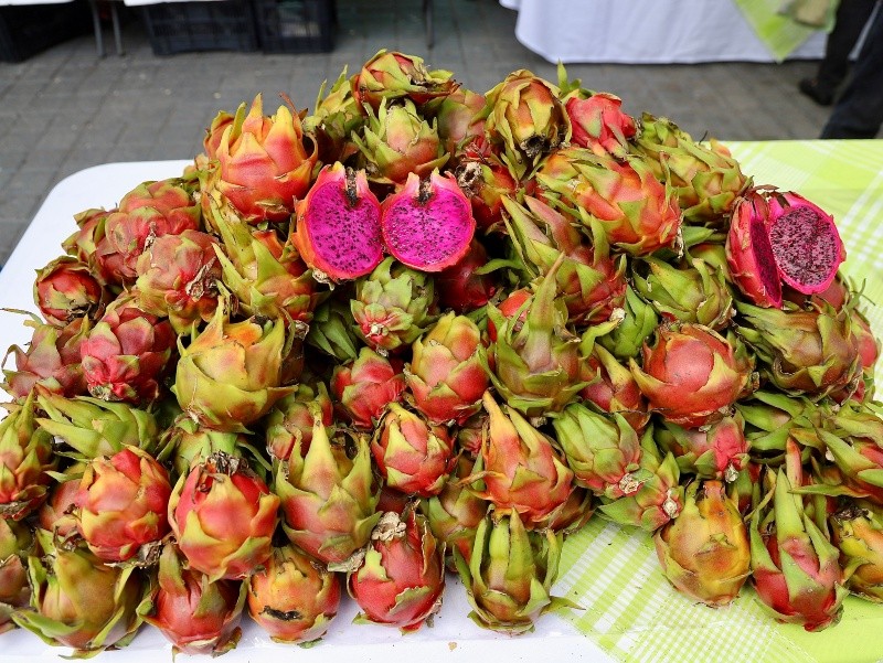 ESPECIAL/Sader Jalisco