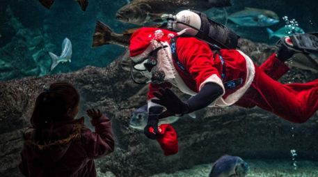 Las plataformas de Inteligencia Artificial se han convertido en una opción atractiva para quienes buscan innovar en sus publicaciones navideñas. CANVA