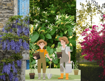 Qué mejor que iniciar la renovación de tu jardín en estos días para darle la mejor de las bienvenidas al 2026. UNSPLASH / M. Le Breton / S. Wander / J. Keeley