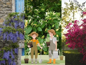 Qué mejor que iniciar la renovación de tu jardín en estos días para darle la mejor de las bienvenidas al 2026. UNSPLASH / M. Le Breton / S. Wander / J. Keeley