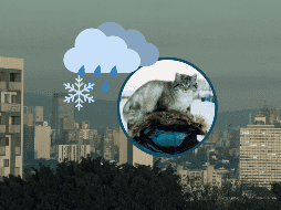 Cuatro estados del país se verán directamente afectados por el frente frío 24; conoce más detalles del clima en el país. ESPECIAL / UNSPLASH / S. Beschastnykh