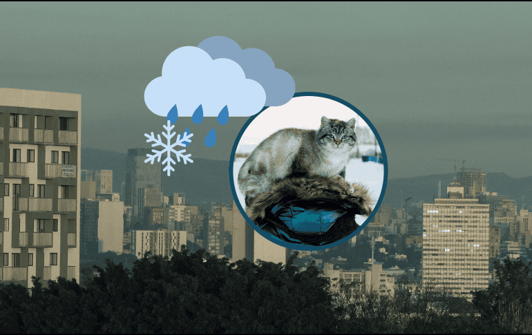 Cuatro estados del país se verán directamente afectados por el frente frío 24; conoce más detalles del clima en el país. ESPECIAL / UNSPLASH / S. Beschastnykh