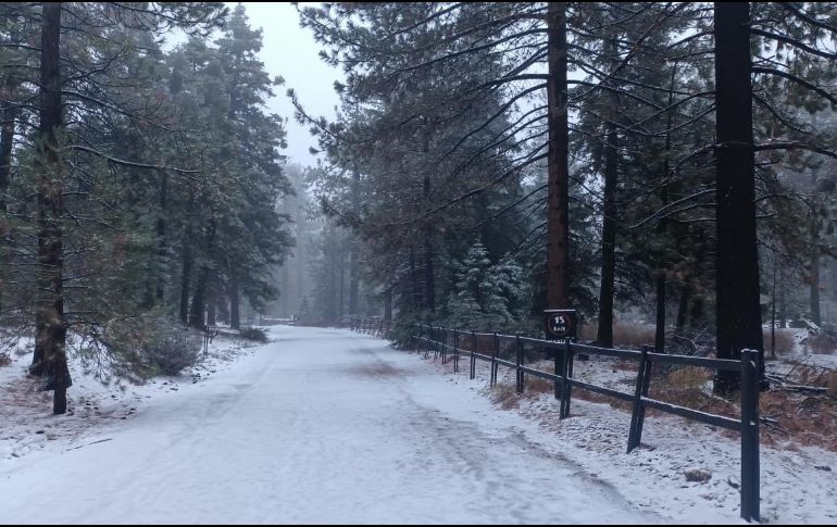 Imagen de archivo del Parque Nacional Sierra de San Pedro Mártir, Baja California. FACEBOOK / Protección Civil Baja California