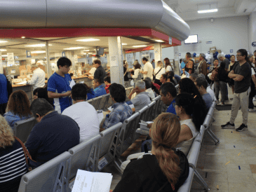 El Gobierno del Estado informó que el último trimestre de 2025 fue el periodo de mayor afluencia de usuarios que canjearon sus placas. ESPECIAL