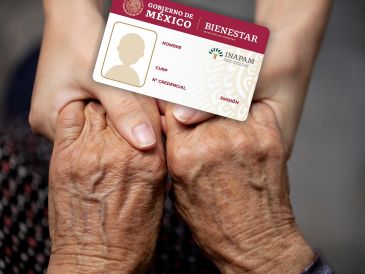 El portal del Inapam dice que con la Vinculación Productiva se busca la promoción de empleos, así como actividades voluntarias que generen un ingreso para las personas adultas mayores. ESPECIAL / CANVA