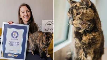 Tras cumplir tres décadas de vida este lunes, Flossie reafirmó su título en el Libro Guinness. ESPECIAL / Guinness World Record