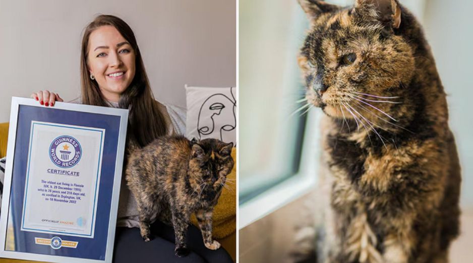 Tras cumplir tres décadas de vida este lunes, Flossie reafirmó su título en el Libro Guinness. ESPECIAL / Guinness World Record